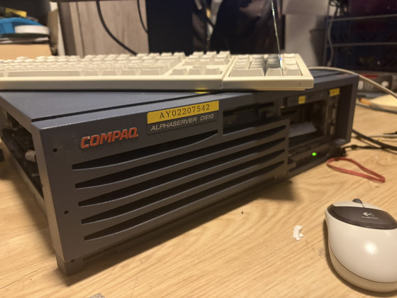 One of the Alphas we brought.