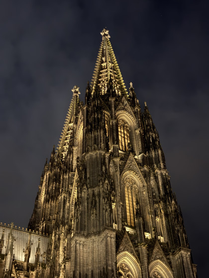 an absolutely gorgeous beast